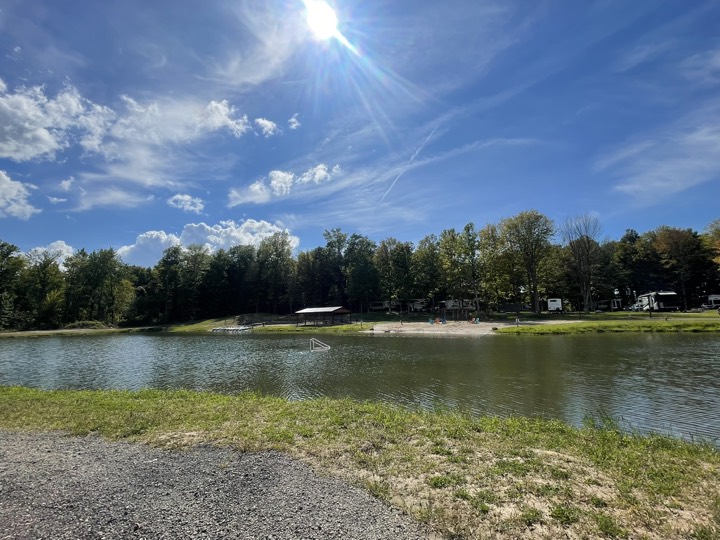 The pond on a sunny day