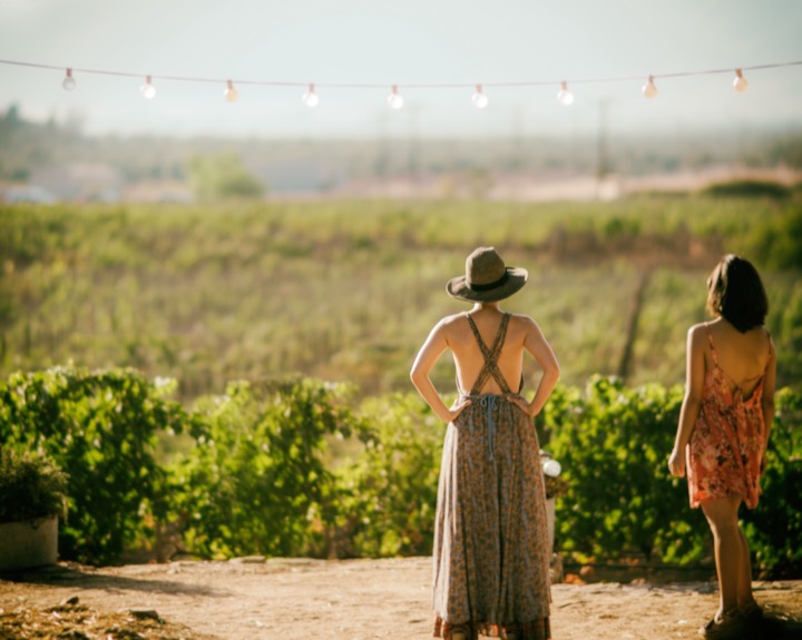 Local Wineries